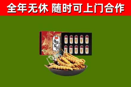 鄢陵回收冬虫夏草价格