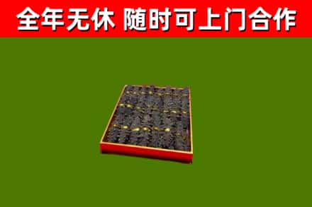 鄢陵回收海参